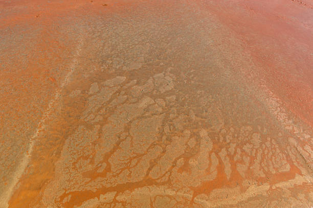 istock Texture of floor wet cement 530607661