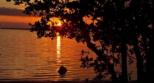 istock Sunset Orange in Pineland Florida 530607871