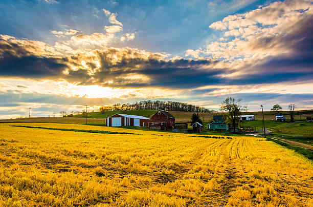istock Sunset over a farm in rural York County, Pennsylvania. 530613595