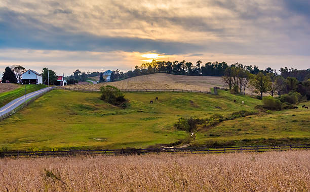 istock Sunset over farm fields and hills in Lancaster County, Pennsylva 530613805
