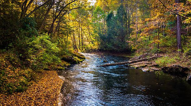 Early autumn color along the Gunpowder River in Gunpowder Falls stock photo