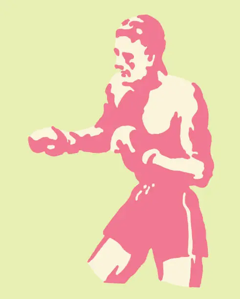 Vector illustration of Boxer