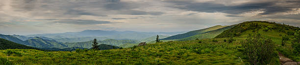 панорама раунд лысый и джейн лысый - roan mountain state park стоковые фото и изображения