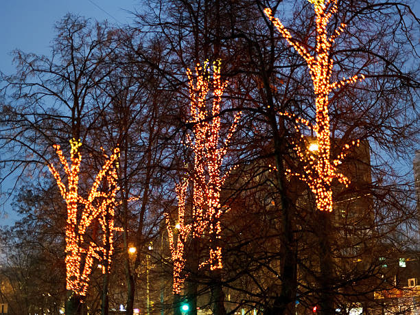 istock Xmas illumination on trees in winter 530616073
