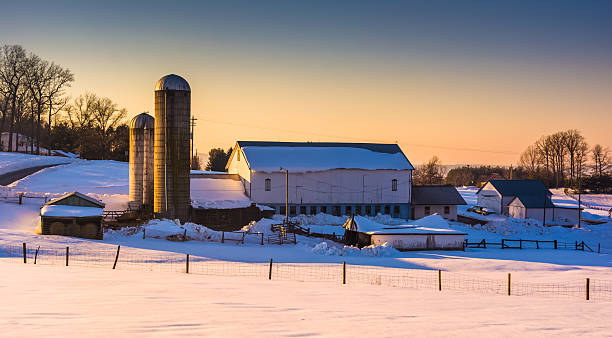 istock Evening light on a barn in rural York County, Pennsylvania. 530617731