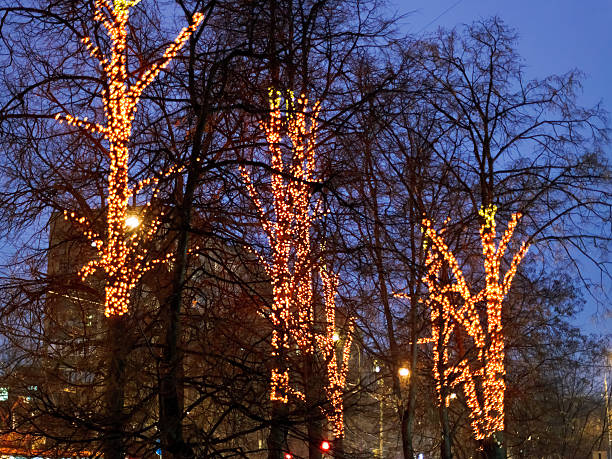 istock christmas illumination on urban trees in winter 530618023
