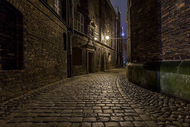 istock Old city at night - Gdansk, Poland 530619227