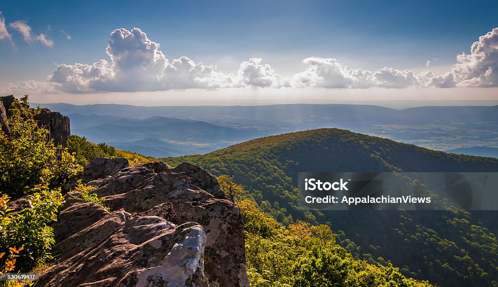 Evening view from cliffs on Hawksbill Summit, in Shenandoah Nati Evening view from cliffs on Hawksbill Summit, in Shenandoah National Park, Virginia. Shenandoah National Park Stock Photo