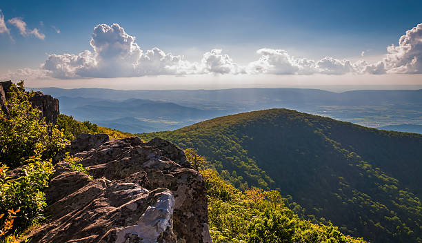 вечерний вид со скалы на hawksbill встречи на высшем уровне, в shenandoah нати - blue ridge mountains mountain virginia mountain range стоковые фото и изображения