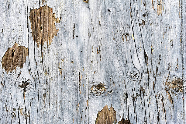istock Wooden wall for background 530625297