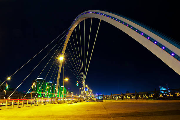 istock Astana city 530629003