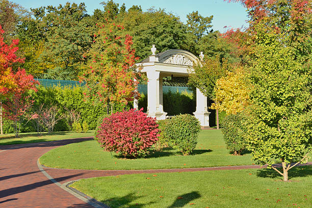istock Detail of autumn park 530634367