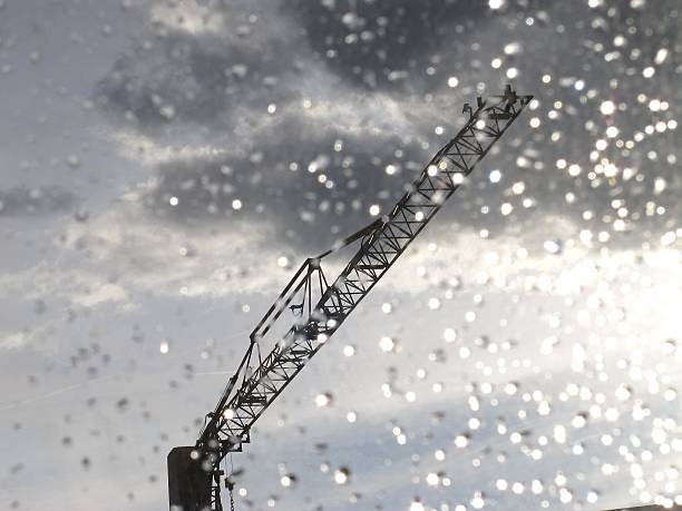 crane in the storm