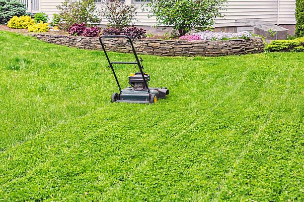 istock Lawn Mower On Suburban Home Front Yard Lawn 530635591