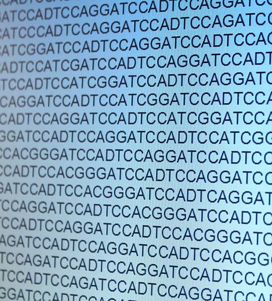 istock gene sequence on a monitor 530636485
