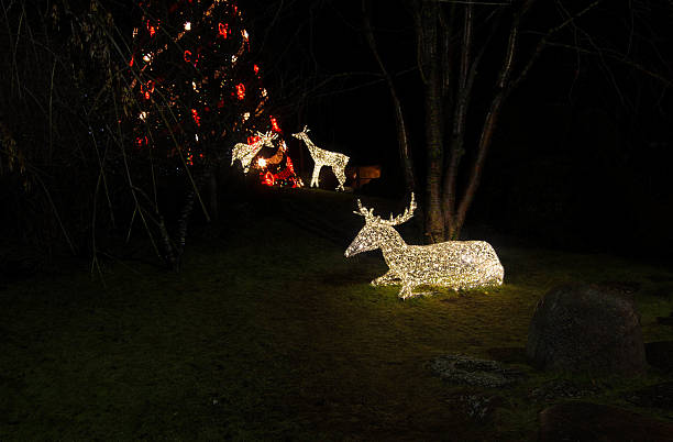 istock Three deers in night next to the Christmas tree 530636715