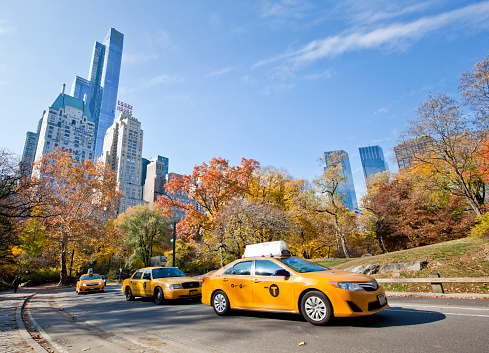 New York, USA - November 13th, 2014: Yellow taxi cabs driving through Central Park with skyscraper background in the fall