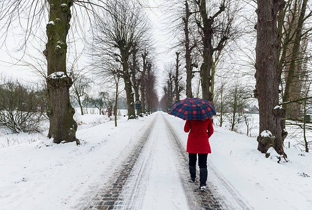 istock Women walking in the woods under snow 530637905