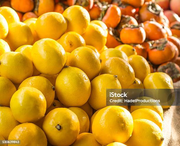 Lemons And Persimmons Stock Photo - Download Image Now - Arrangement, Beauty In Nature, Bunch