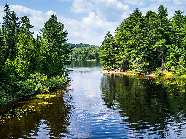 690+ Parque Nacional La Mauricie fotos de stock, imagens e fotos