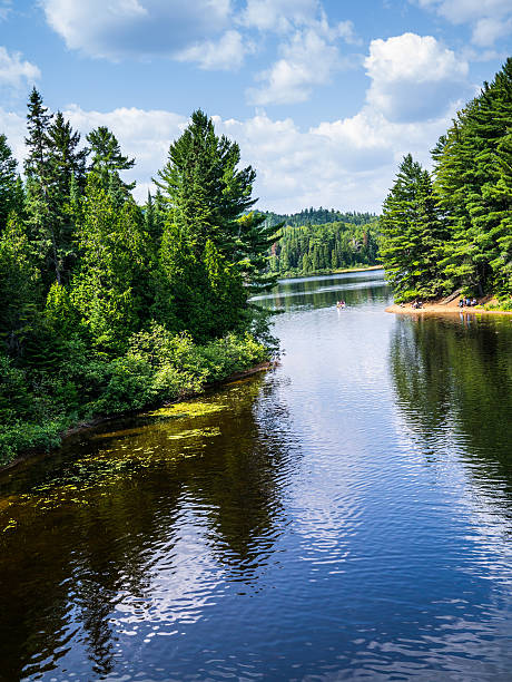 istock Mauricie National Park 530639887