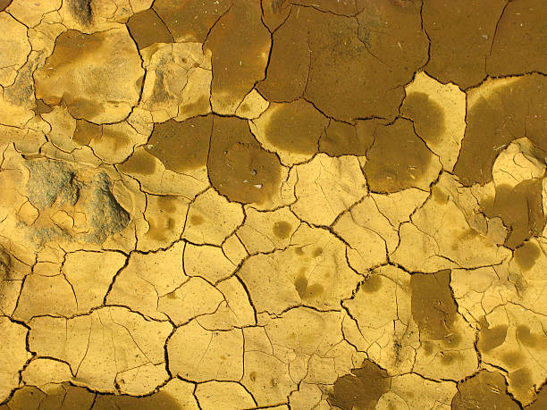 istock Hawaiian Dried and Cracked Yellow Mud 530640443
