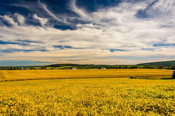 istock Farm fields and rolling hills in rural York County, Pennsylvania 530640721