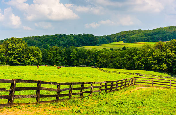 istock Farm fields and rolling hills in rural York County, Pennsylvania 530640723