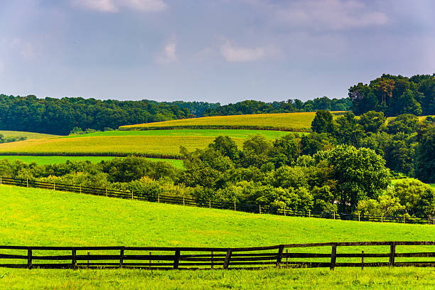 istock Farm fields and rolling hills in rural York County, Pennsylvania 530641453