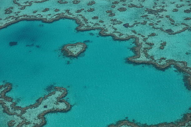 istock Heart Reef seen from 2500 feet 530642245