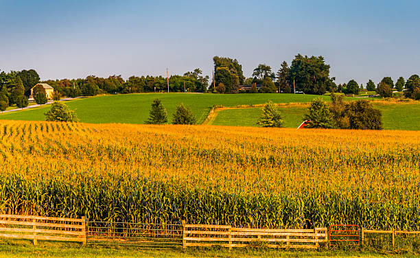 istock Farm fields and rollings hills in rural York County, Pennsylvani 530646227