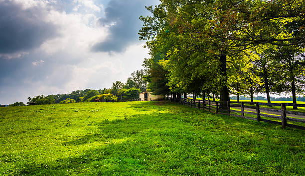 istock Farm fields and trees in rural Southern York County, Pennsylvani 530646233