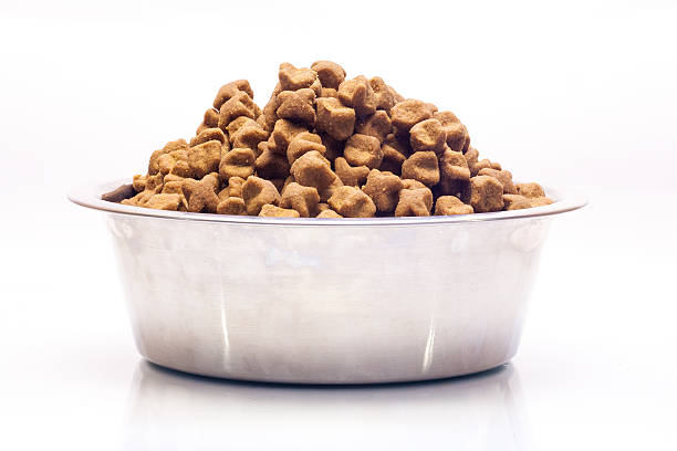 Isolated metal bowl with dog dry food. Isolated metal bowl with dog dry food. dog bowl photos stock pictures, royalty-free photos & images