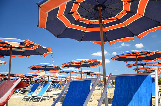 praia guarda-chuvas na bela praia de marina di pisa, itália - marina di pisa imagens e fotografias de stock