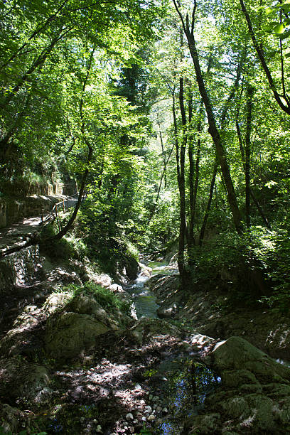 istock Valle delle Ferriere path in Amalfi 530647579