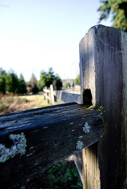 Weathered fence in Marymoor park