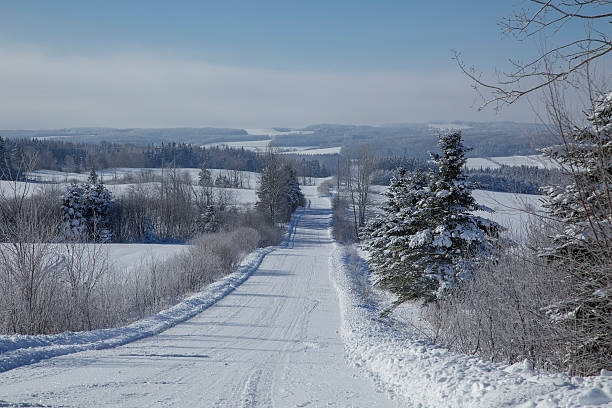 istock Winter country road 530649401