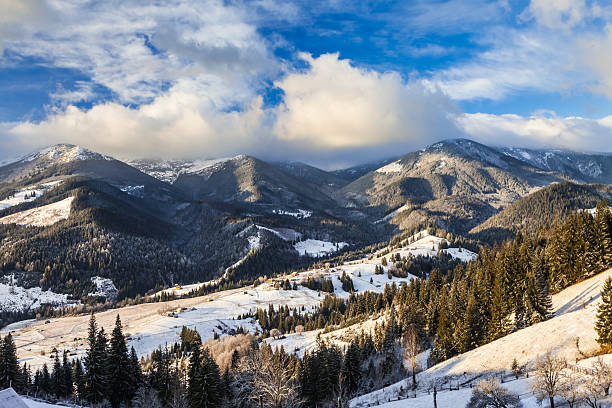 istock Beautiful winter landscape in the mountains 530652951