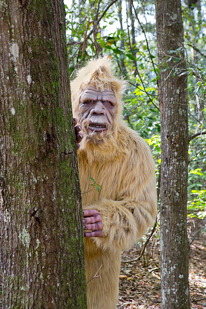 istock BigFoot Sasquatch 530658361