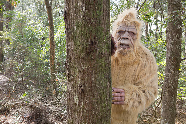 istock BigFoot Sasquatch 530658371