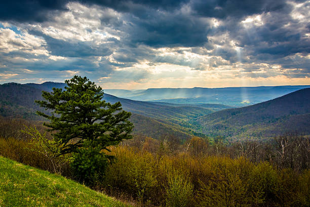 istock Crepuscular rays over the Shenandoah Valley, seen from Skyline D 530659619