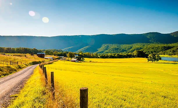 未舗装道路と農場のシェナンドアヴァレー、バージニアます。 - blue ridge mountains mountain virginia mountain range ストックフォトと画像