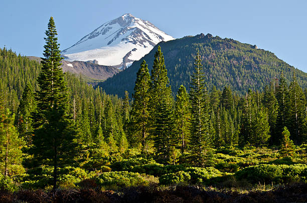 Mount Shasta Northside Summer Northeast side of Mount Shasta, Northern California. mt shasta photos stock pictures, royalty-free photos & images