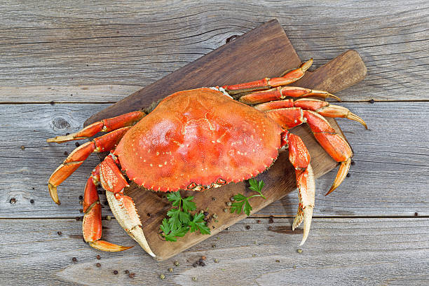 Cooked Crab on Server board stock photo