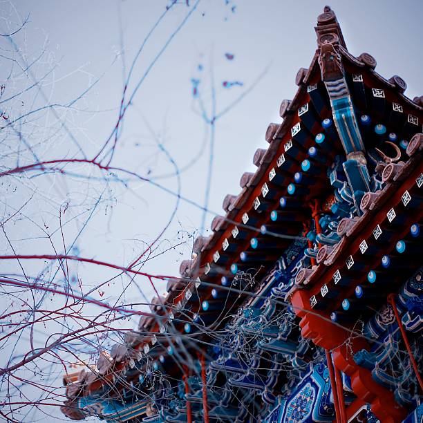 istock bright patterned roof of the Buddhist monastery 530660761