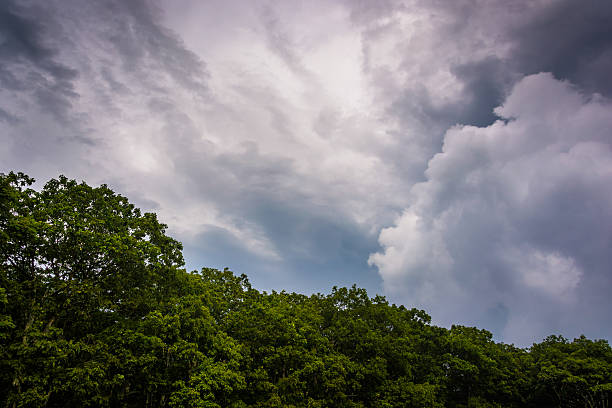 istock Dramatic sky, at Shenandoah National Park, Virginia. 530661073