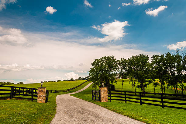 podjazd i ogrodzenia w wiejskich york county w stanie pensylwania, w usa. - farm gate zdjęcia i obrazy z banku zdjęć