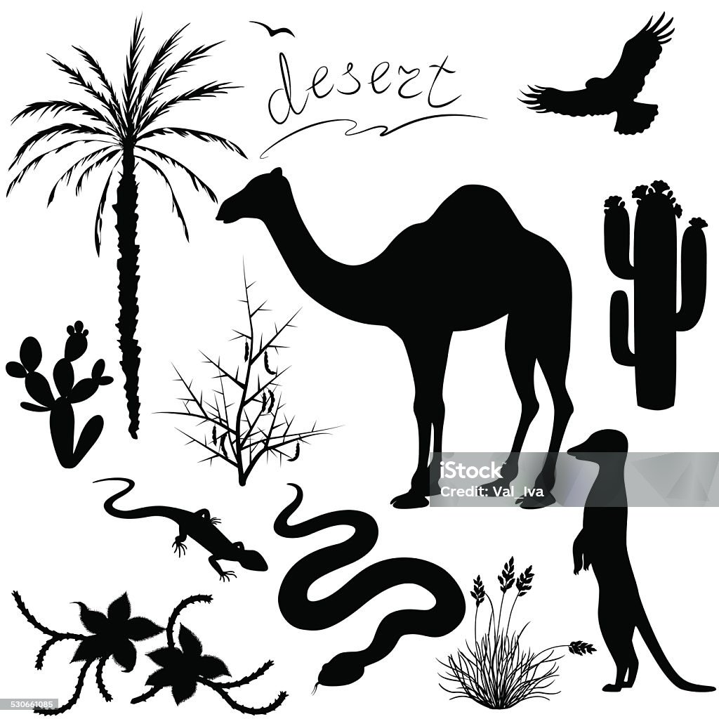 Desert Plants And Animals Set Stock Illustration - Download Image Now -  Desert Area, Eagle - Bird, Animal - iStock