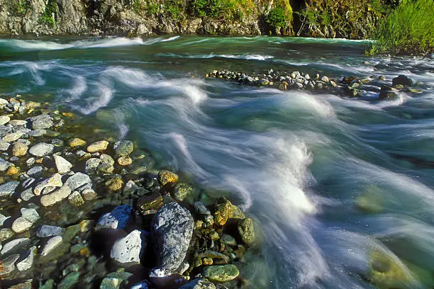 Photo of Nordheimer Creek and Salmon River