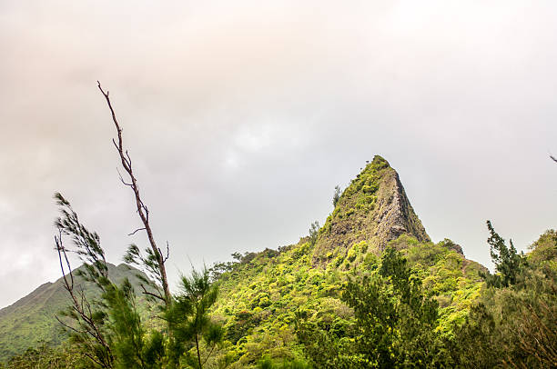 istock Hawaiian Mountain Peak 530662165